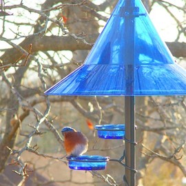 Squirrel Baffle for Protecting Pole-Mounted Bird Feeders & Bird Houses, Large 17" Durable Squirrel-Proof Pole Guard, Weather Guard, by Arundale Products (Blue)