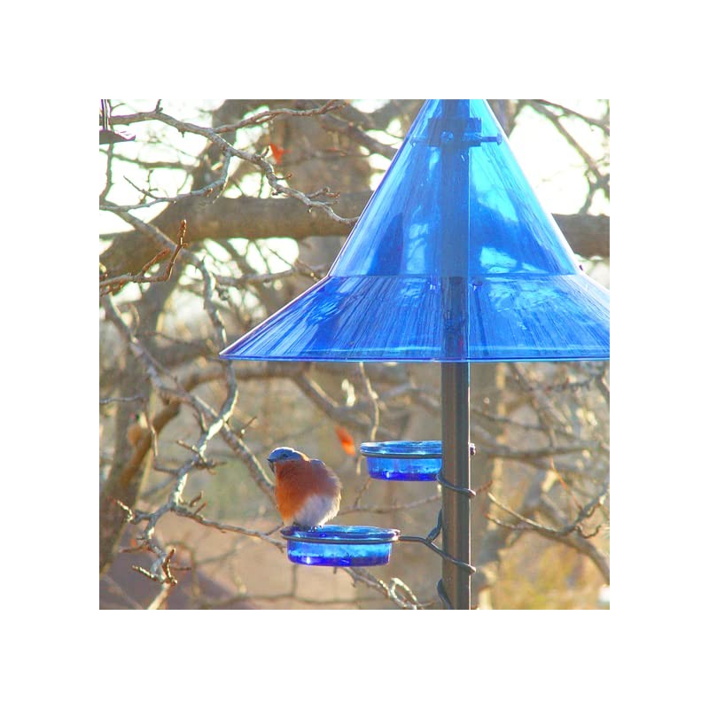 Squirrel Baffle for Protecting Pole-Mounted Bird Feeders & Bird Houses,