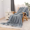 AMBERIS Throw Blanket Grey, Moderately Thick Faux Fur Soft Blanket
