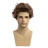 Baruisi Mens Short Brown Wig Natural Curly Fluffy Hair Wig