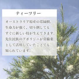 Australian Natural 100% Tea Tree Oil 30ml Aroma Oil