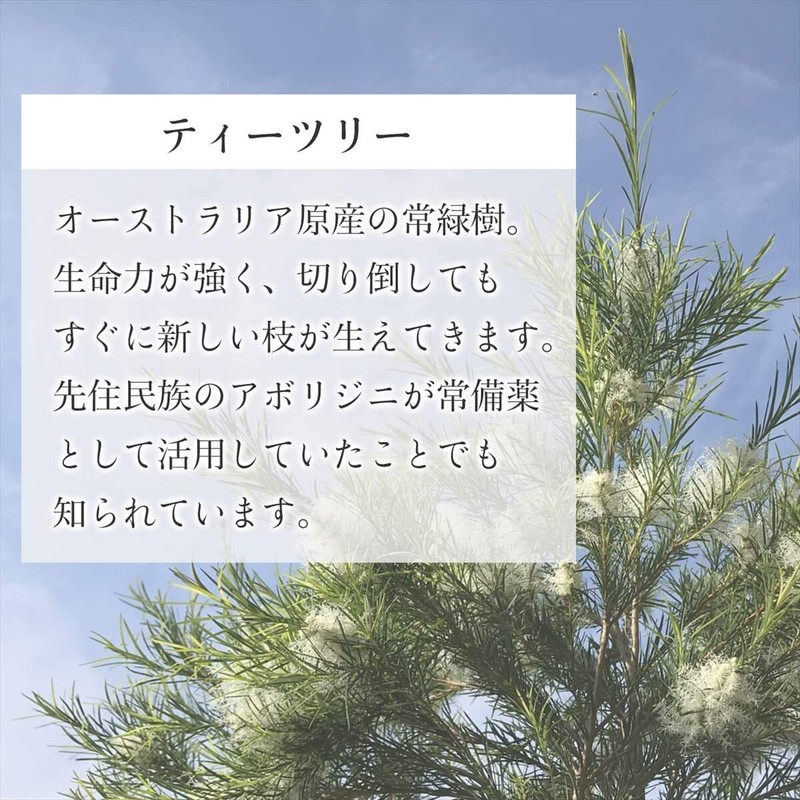 Australian Natural 100% Tea Tree Oil 30ml Aroma Oil