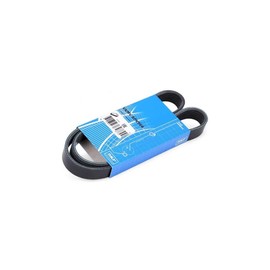 SKF VKMV 6PK966 Multi-V belt
