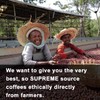 SUPREME DECAF COFFEE | Whole Bean | Medium Roast Coffee