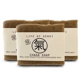 USA Made Vegan CHAGA mushroom soaps - PACK of 3, USA wild harvested - ALL NATURAL, Hand made in USA