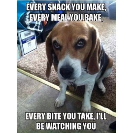 Funny Beagle  refrigerator magnet 3 1/2x 4 1/2  " Made in USA
