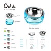 Felli Pet Oblik Slanted Dog Food Water Bowl Elevated Stainless