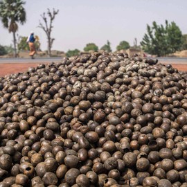 Aromatics International Shea Butter 16oz