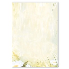 Notepads, notepads, notepads, margerites, DIN A6 format A6