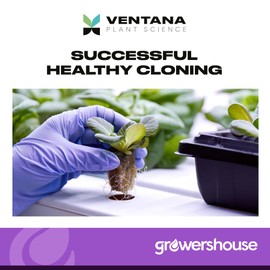 Ventana Plant Science Cloning Gel - Cloning Paste with Rapid Rooter Rooting Hormone - 0.5% IBA Indole-3 Butyric Acid Vitamin B-1 Added, Essential for Healthy Plant Growth, Dye-Free