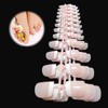 Pack of 120 Toenails, 12 Sizes False Toenails Kit, Toenail
