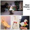 QBLEEV Pet Cole Duck Diapers for Baby Ducks, Chicken Diapers