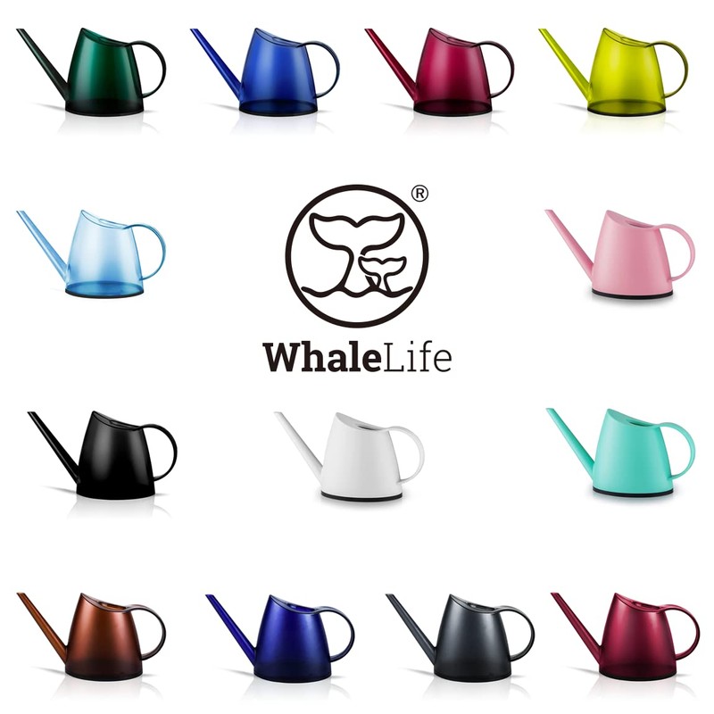 WhaleLife Indoor Watering Can for House Bonsai Plants (1.4L, Black)