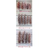 Unbranded Eastern White Pine Cones Natural Pinecones DIY Decor Project