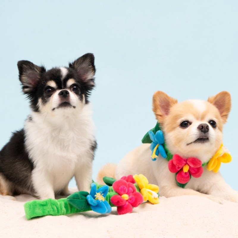 Tug of War Dog Toy Interactive Colorful with Sound Beautiful