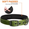 Fida Padded Dog Collar, Metal Belt Buckle Dog Collar with