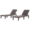 Merax 2-Piece Outdoor Chaise Lounges, Resin Pool Lounge Chairs, Outdoor