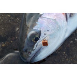 GoFly Pure Domestic TG Pellet BL 5 Colors, Set of 5, Management Fishing Site, Bakutsuri Fly