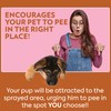 OUT! Go Here Dog Attractant, Pet Potty Training Spray, Indoor