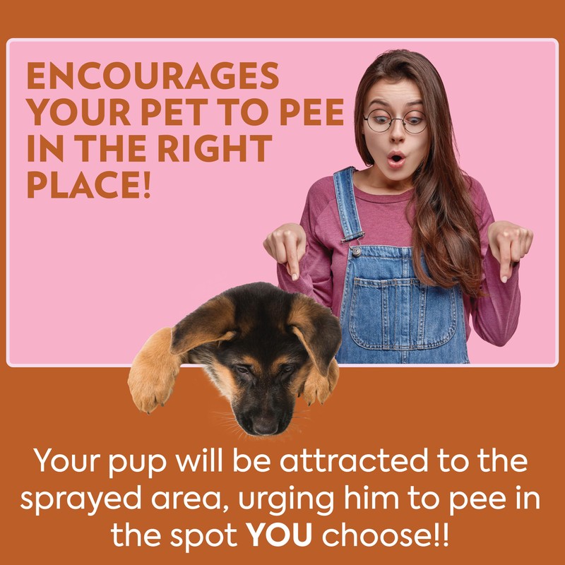 OUT! Go Here Dog Attractant, Pet Potty Training Spray, Indoor