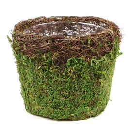 SuperMoss (55152) Vineyard Decorative Moss Basket Ideal for Home Decor, Office Decor, and Indoor Plants, Medium Size: 5.5″ x 4.7″, Fresh Green