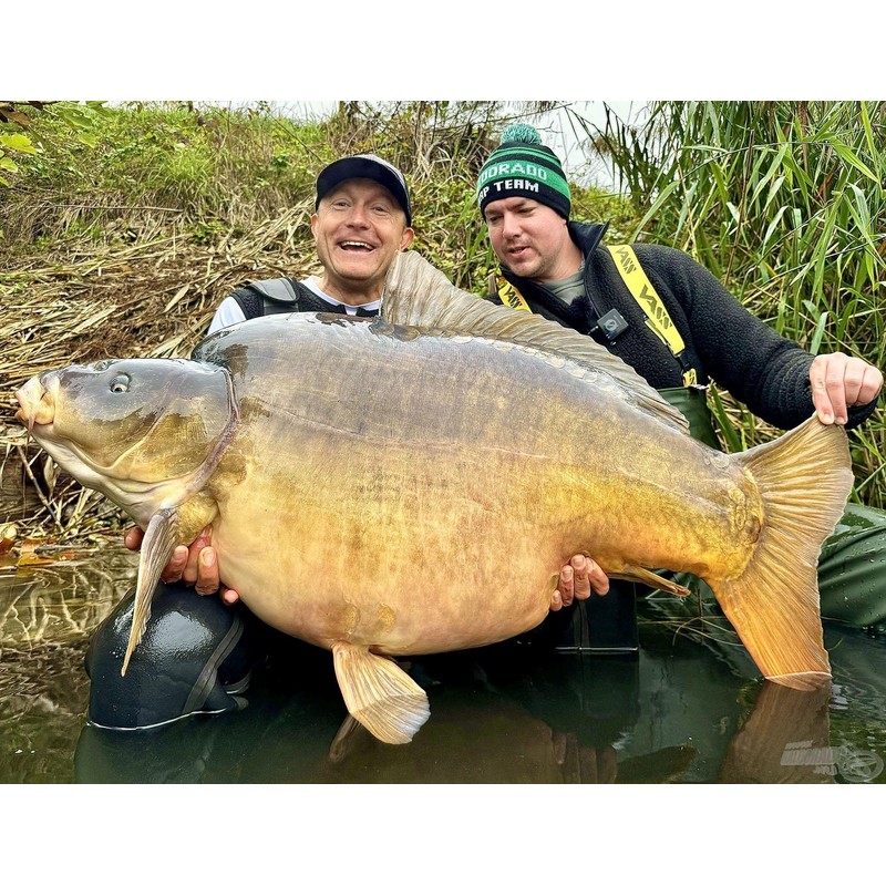 Haldorado Ronnie Rig Pop Up Carp Fishing Bait, 12 mm,