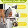 Dog Cone Collar, Comfortable Pet Recovery Collar & Cone, Adjustable