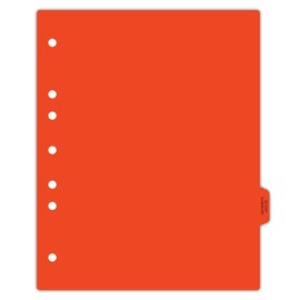 Carstens - Heavy Duty 30 Day Summary Plastic Ring Binder Dividers, Side Tab, 1/9 Cut, Tab 7 Position, US Letter, Pack of 10, (8220-02) - Ideal Medical Chart Dividers for 3 Ring Binders