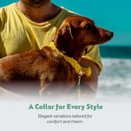 Handmade Macramé Dog Collar, Adjustable Green Collar for Small & Medium Dogs, Lightweight & Comfortable, Eco-Friendly Puppy Collar for Dogs, Durable and Stylish Design