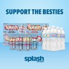 Splash Refresher Sparkling Water, Rocket Freeze - 8-Pack, 12 Fl