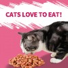 Just Try 13.4 OZ Urinary Tract Cat Treats for Indoor