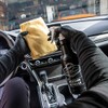 Meguiar's 's rápido interior Detailer, 1 Galón