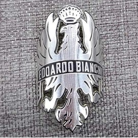 ZSBH Aluminum Metal Sticker Bicycle Frame, Front Fork Steam Sticker DIY Old Brand Film Bike Santa Cruz Decal (Color: White)