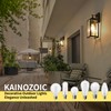 Kainozoic Motion Sensor Dawn to Dusk Outdoor Sensor Light Fixture