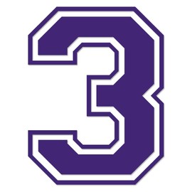 Applicable Pun Varsity Number 3 - Vinyl Decal - Purple 8 Inches Tall
