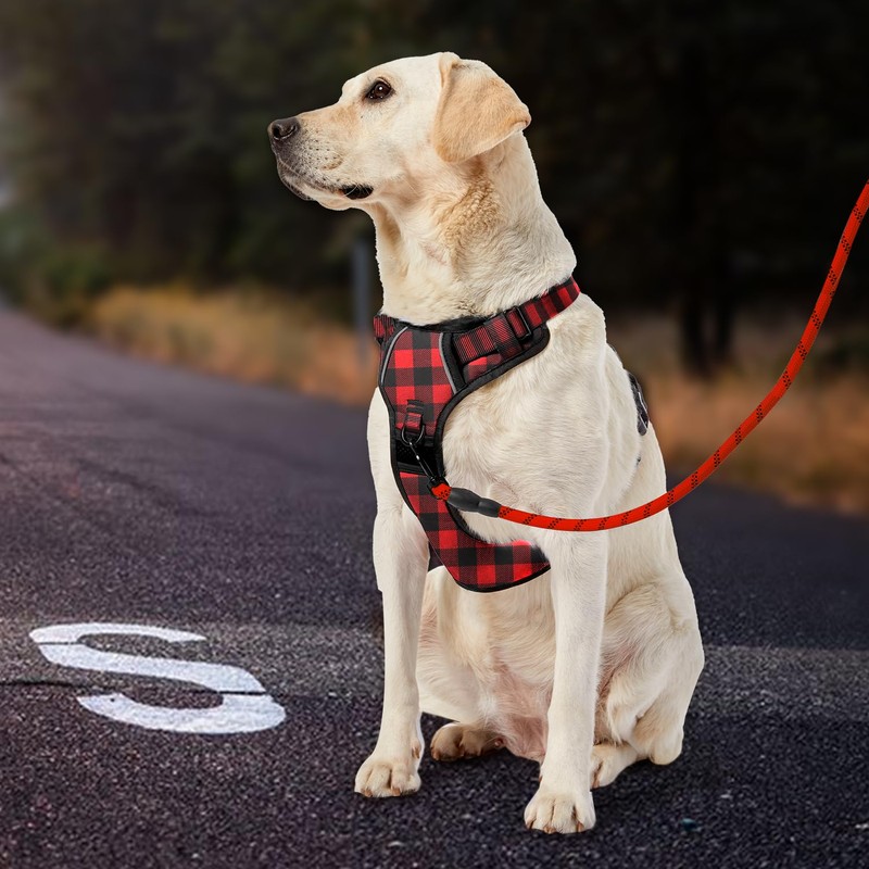 IVY&LANE Throat Friendly Adjustable Dog Harness, Reflective, Breathable, Pull Prevention,
