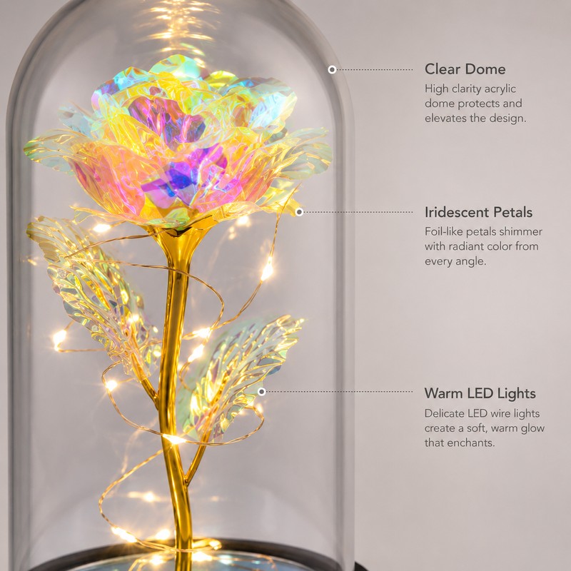 Eternal Rose Gift for Her – Acrylic Rose Display with