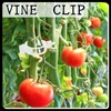 Lets Joy Pack of 100 plant clips, tomato clips, plant