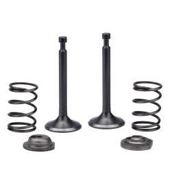 BMP Intake Exhaust Valve Spring Set For WestingHouse iGen5000DF