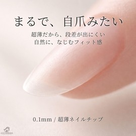 COLORBIRD Silvella Long 0.1mm Ultra Thin Clear Sanded Natural Fit False Nail Tips (Ballerina L, 240pcs)