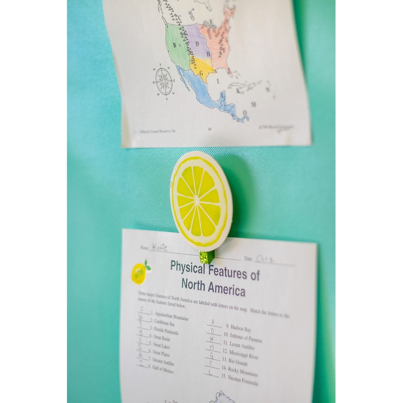 Teacher Created Resources Lemon Zest Stickers