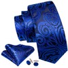 Barry.Wang Men Ties Paisley Woven Silk Necktie Set with Pocket