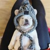 Pet Pompom Knitted Hat, FainFun Knitted Warm Windproof Dog Hat,