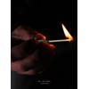 Permanent Match, Waterproof Forever Match Survival Fire Starter Keychain Lighter