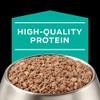 PPVD Canine EN Lata 13.4 OZ US
