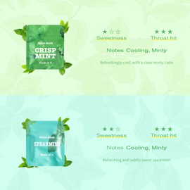 Boderi Quit Inhaler Aluminum with 4 Packs Double Mint Spearmint Flavored Cotton Cores, Help Form Good Habits