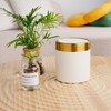 1.5 Liter Mini Trash Can with Lid, Metal Small Tiny