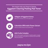 Papa Recipe Eggplant Clearing Peeling Pad Toner, Korean Skin Care,