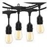 LumeGen 48ft Heavy-Duty S14 String Light - 24 E26 Sockets