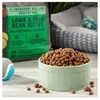 Pure~Balance Lamb & Fava Bean Recipe Dry Dog Food, Grain-Free